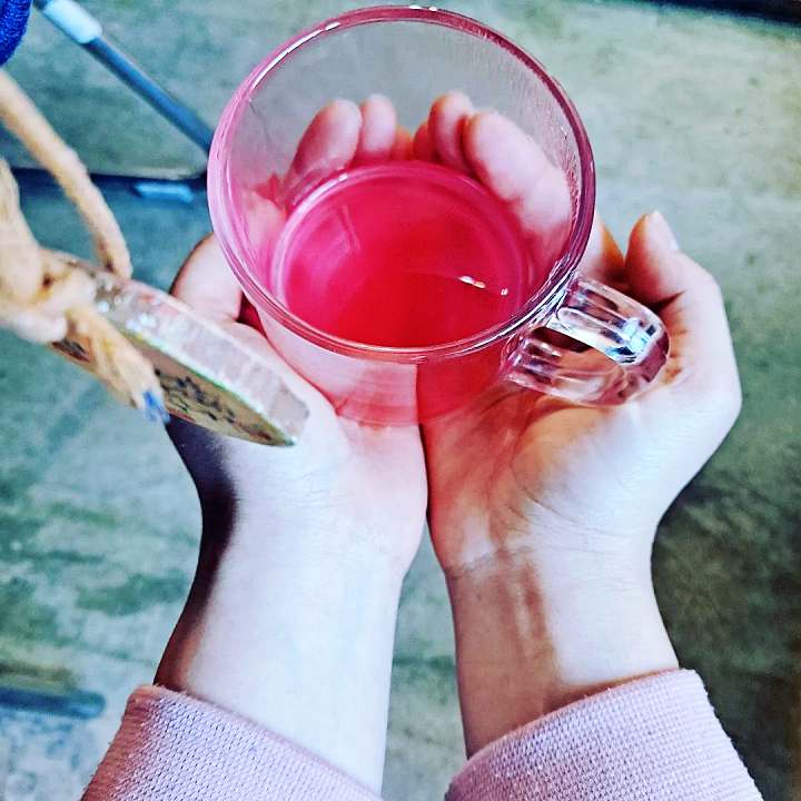 6시내고향 전북 남원 오미자 파는 곳 전국 택배 온라인 전화 주문 추천 