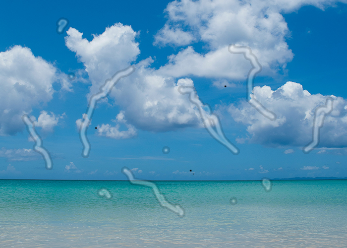 바다를 바라보는데 비문증 증상을 보이는 이미지