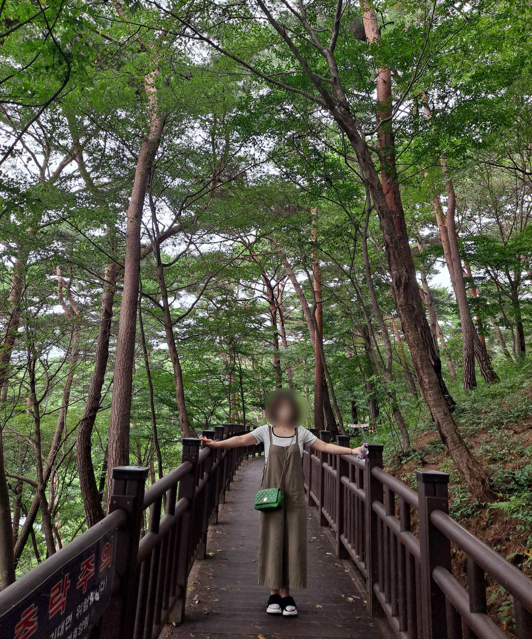 휴양림 그늘길