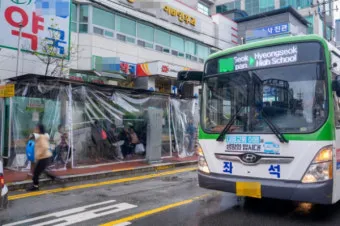 방풍 나무 가지 정리 창틀 보수 베란다 물건 고정_25