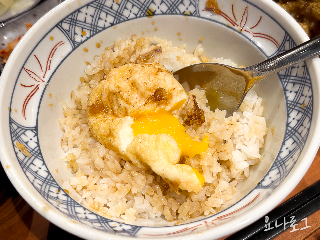 판교맛집 판교텐동 판교현백 판교현대백화점 현대백화점맛집 마츠노하나텐동 마츠노하나 마츠노하나 덮밥 에비텐동 아나고텐동 호르몬동 호르몬텐동 판교맛집추천 판교텐동추천 판교현백지하 백화점식품관 판교역맛집 판교역텐동 판교현백지하식품관
