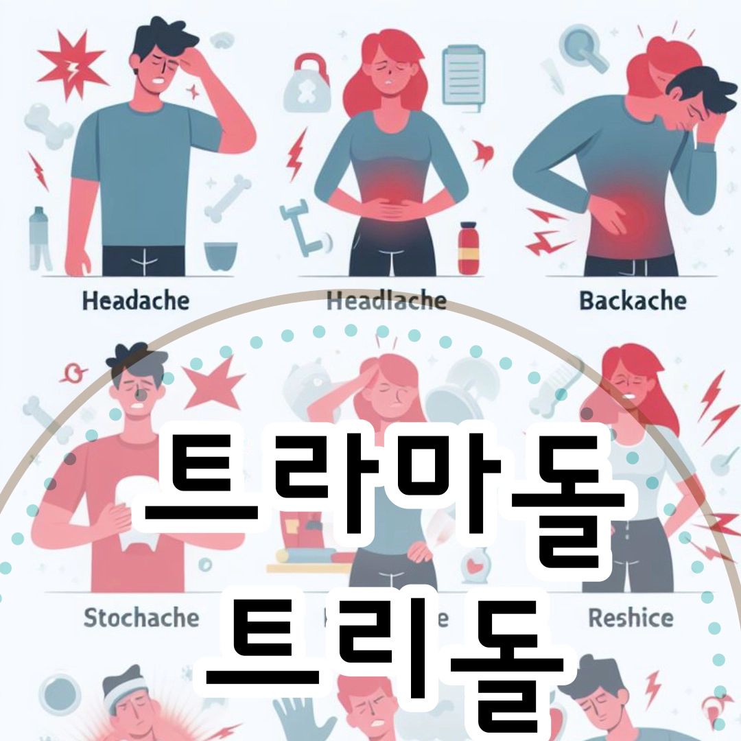 트라마돌-트리돌