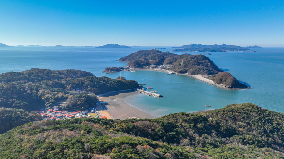 대이작도 전경 사진