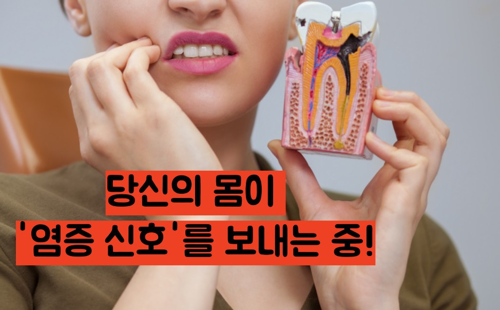 염증에 좋은 음식