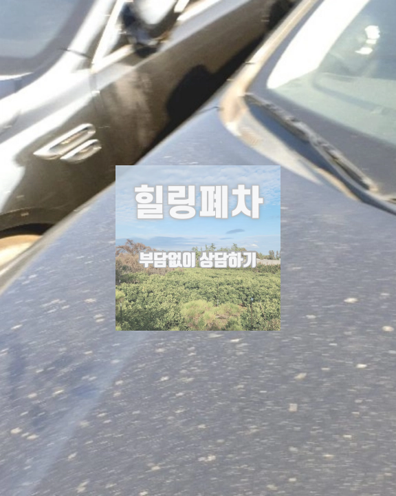 영치차량폐차 접수 전 기준 확인