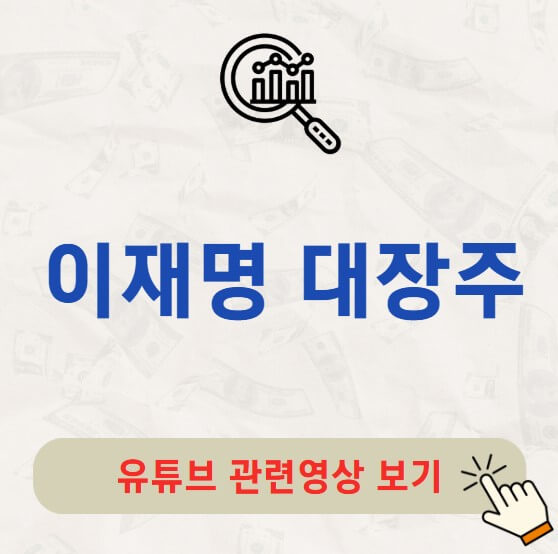 이재명 대장주