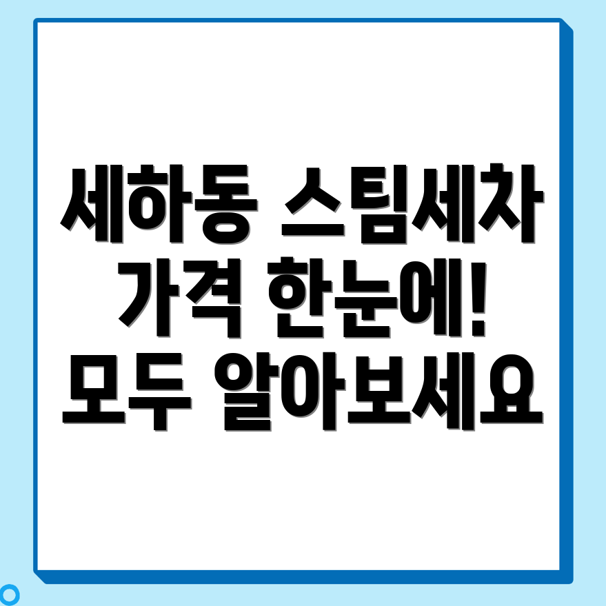 스팀세차