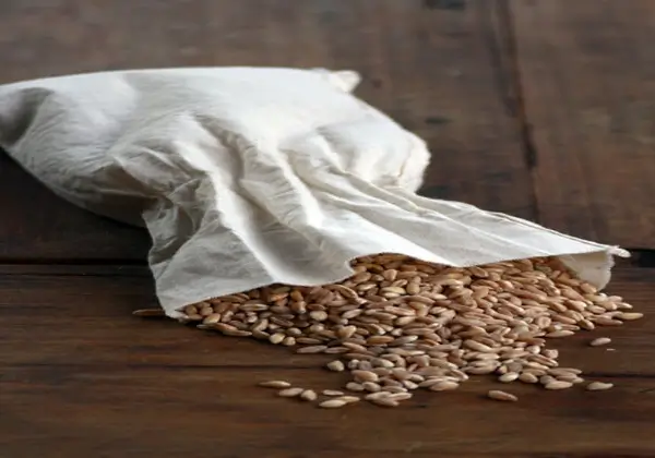 모야모야병에 좋은 음식 현미 호박