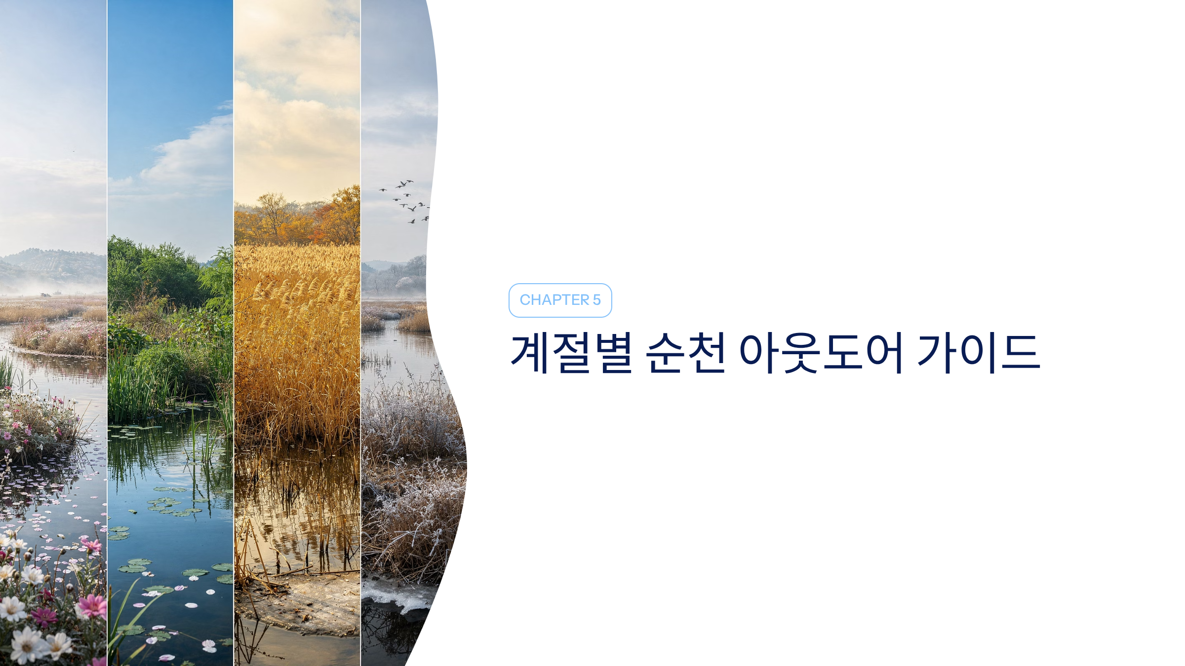 순천 근교 산책 달리기 트레킹 코스 추천 ❘ 습지부터 산줄기까지 걷는 여행