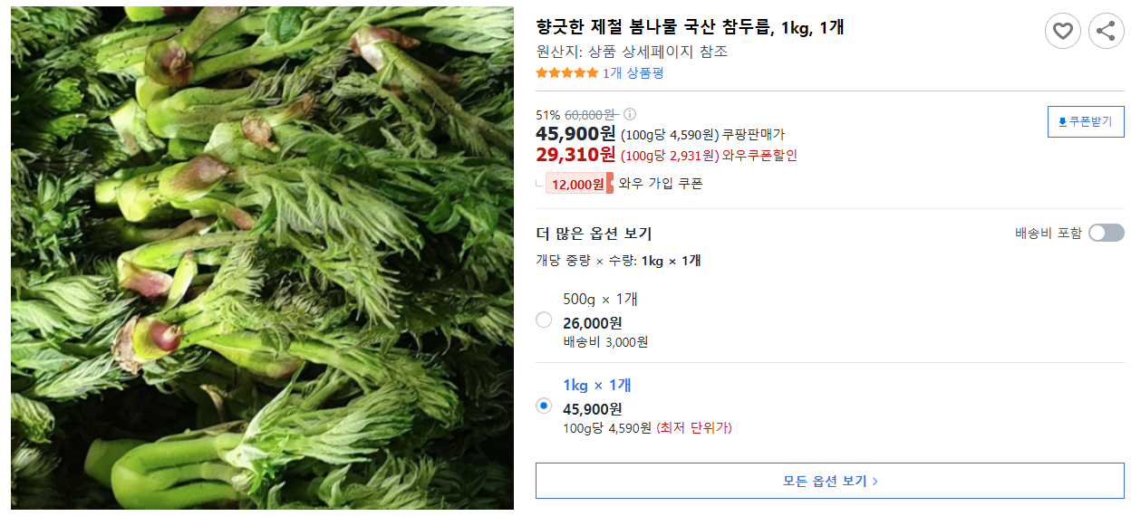 향긋한-제철-봄나물-국산-참두릅,-1kg,-1개