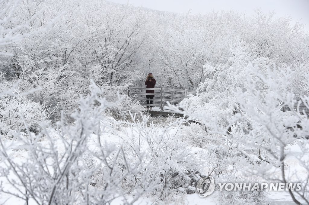제주 겨울 여행 필수 추천 코스 놓치지 마세요!