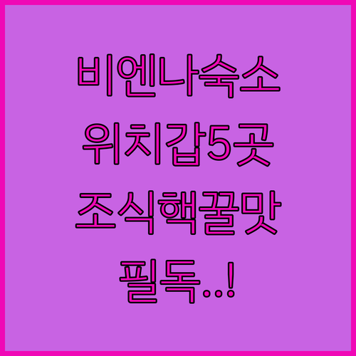 비엔나 호텔 위치 좋은 숙소 5곳 비..