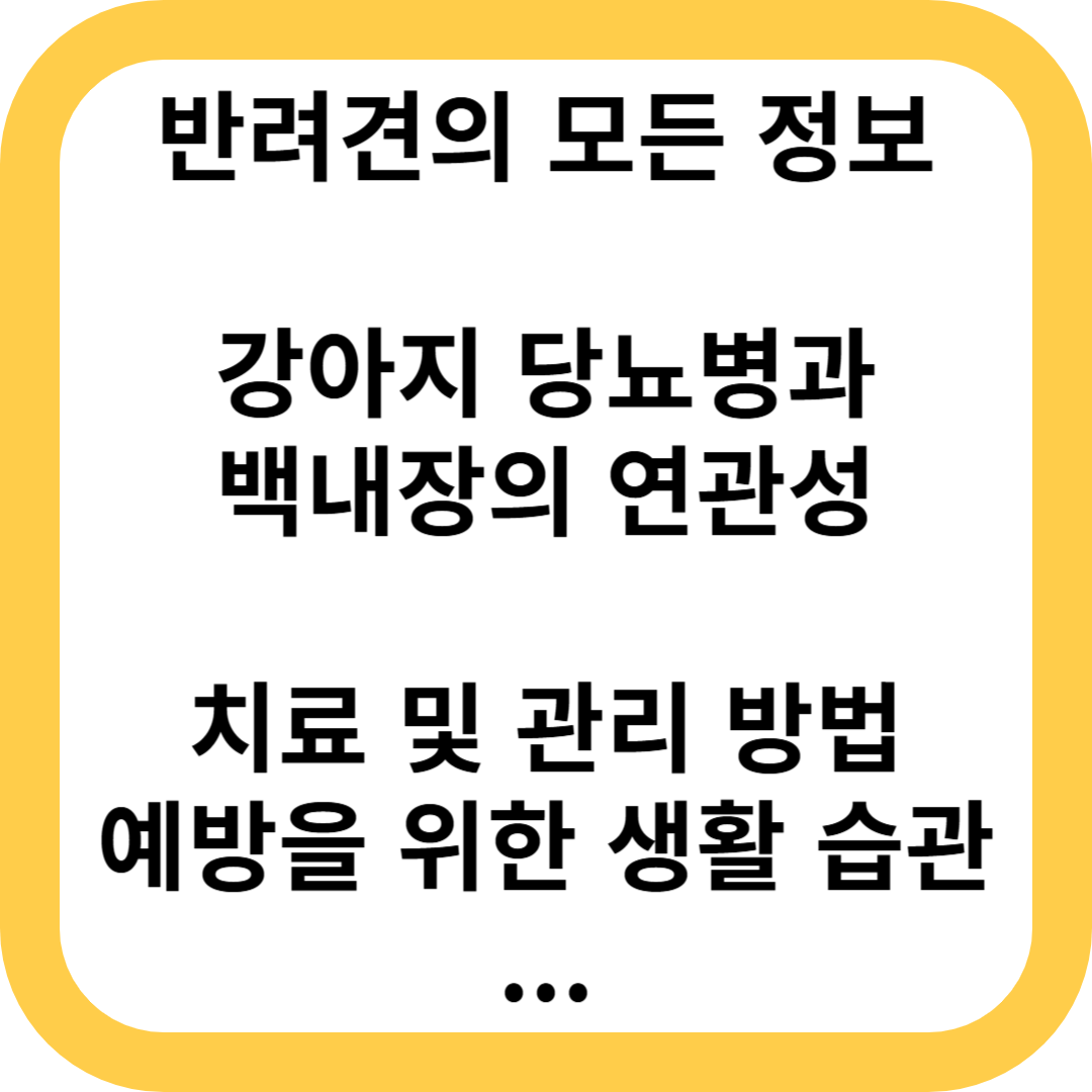 강아지 당뇨병과 백내장의 연관성