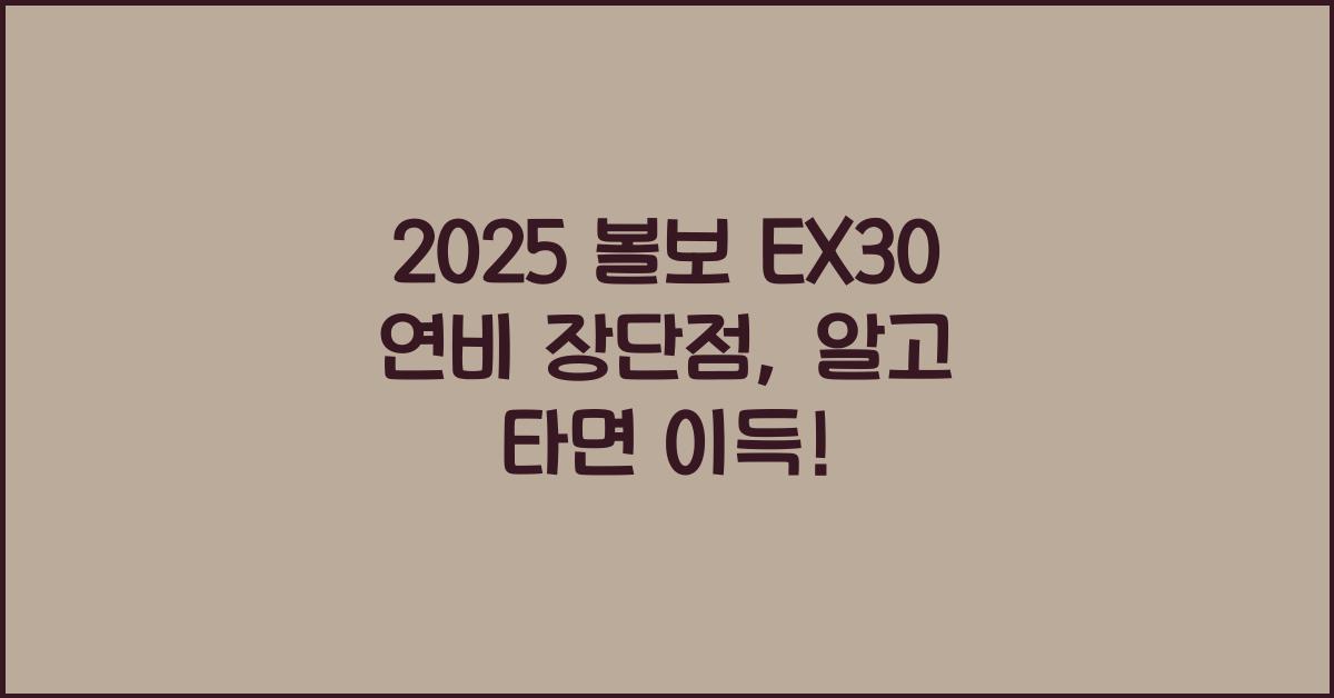 2025 볼보 EX30 연비 장단점