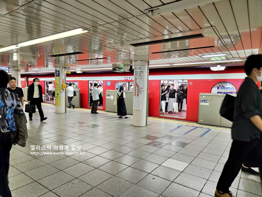 도쿄 교통패스 추천- JR 패스, 도쿄 메트로 패스, 스이카(Suica) 카드 비교