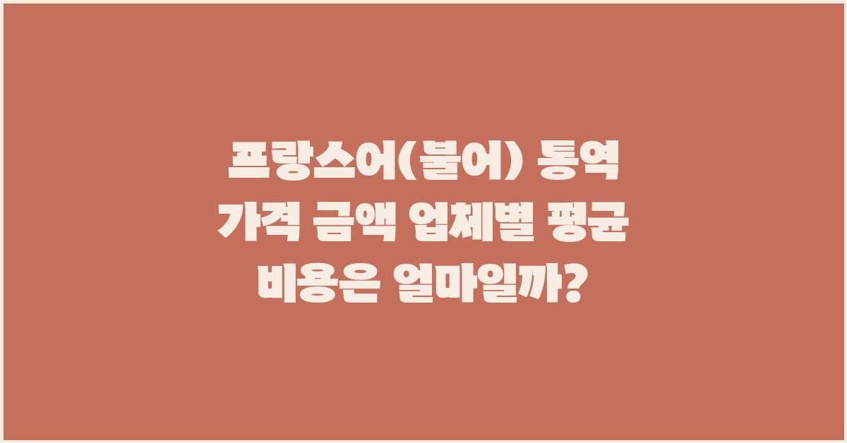 프랑스어(불어) 통역 가격 금액 업체 평균 비용