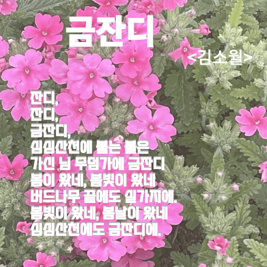 금잔디 &lt;김소월&gt;