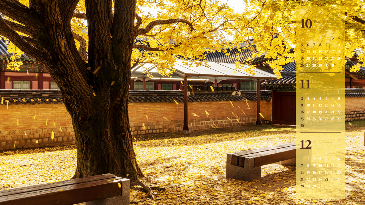 04 바람에 떨어지는 나뭇잎 B - 2025년11월 노트북배경화면