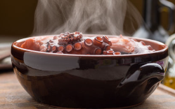 개가 문어(생)를 먹어도 괜찮을까?