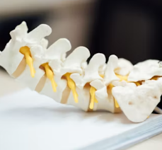 통풍 치료법 진단 기준 합병증