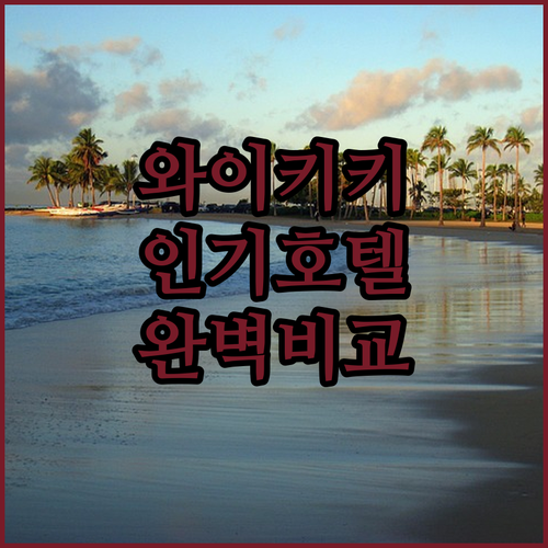 하와이 여행 숙소 결정 가이드 와이키..