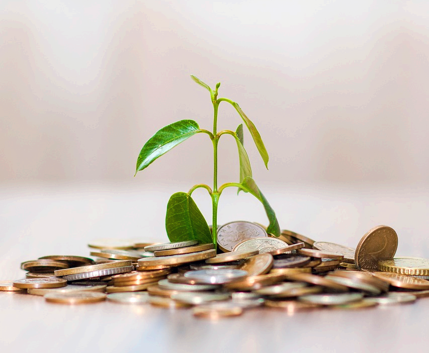 소상공인 정책자금