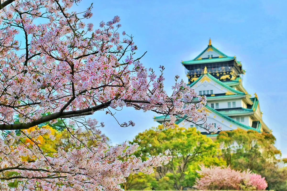 벚꽃과-함께-찍은-일본-오사카성-사진