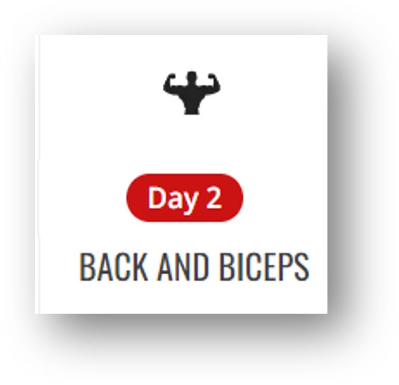 2일차 등과 이두근 Back and Biceps