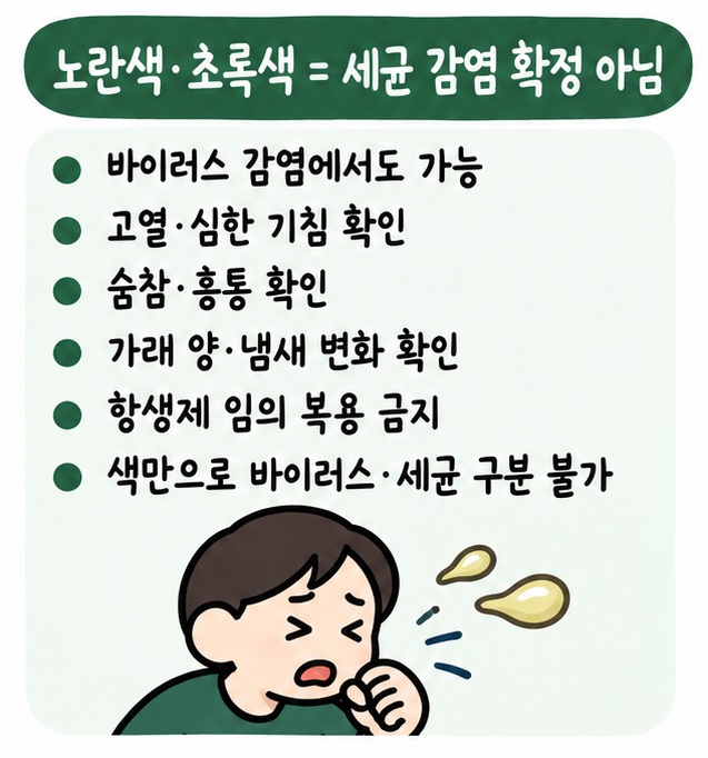 노란색·초록색 가래만으로 세균 감염을 단정할 수 없고 고열과 숨참, 흉통, 냄새와 양 변화를 함께 봐야 한다는 카드