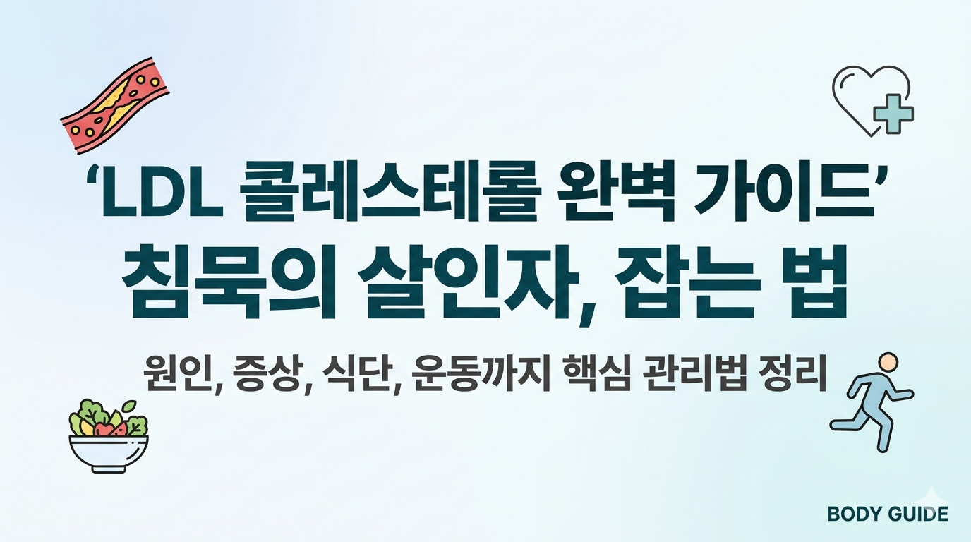 LDL 콜레스테롤 완벽 가이드