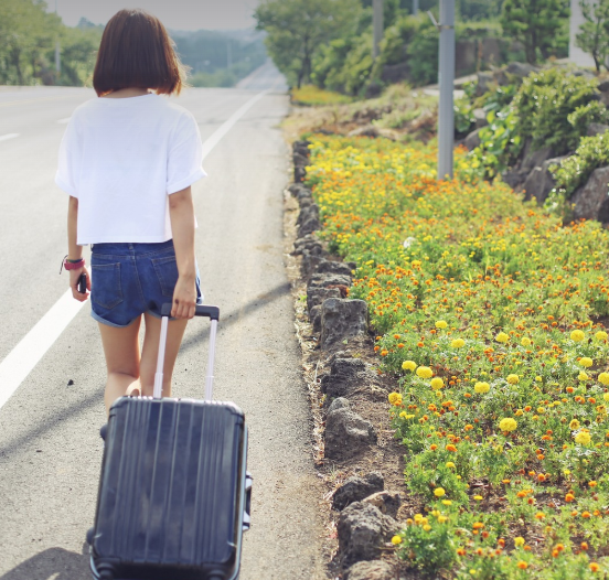 국내 vs 해외 혼자 여행지 비교 (비용,안전,볼거리)