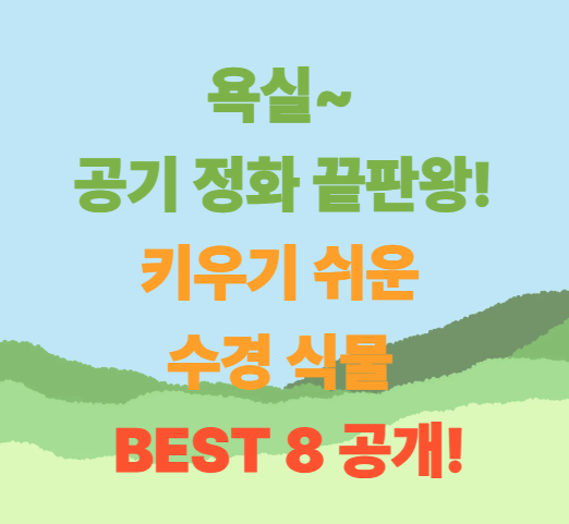 욕실 공기 정화 끝판왕! 키우기 쉬운 수경식물 BEST 8 공개!