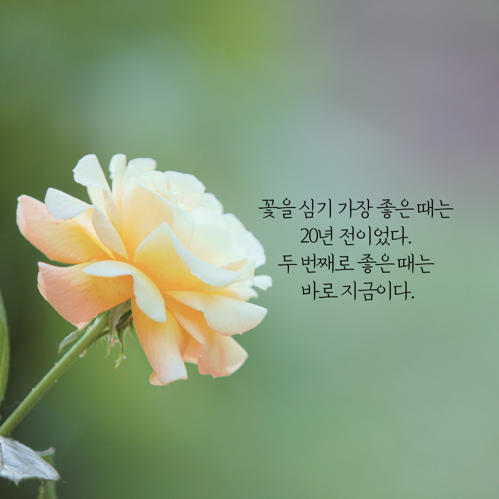 짧고 좋은 글귀 모음 인생 명언 이미지