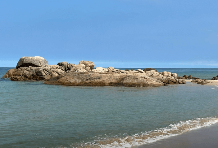 2024 강원도 해수욕장 개장일