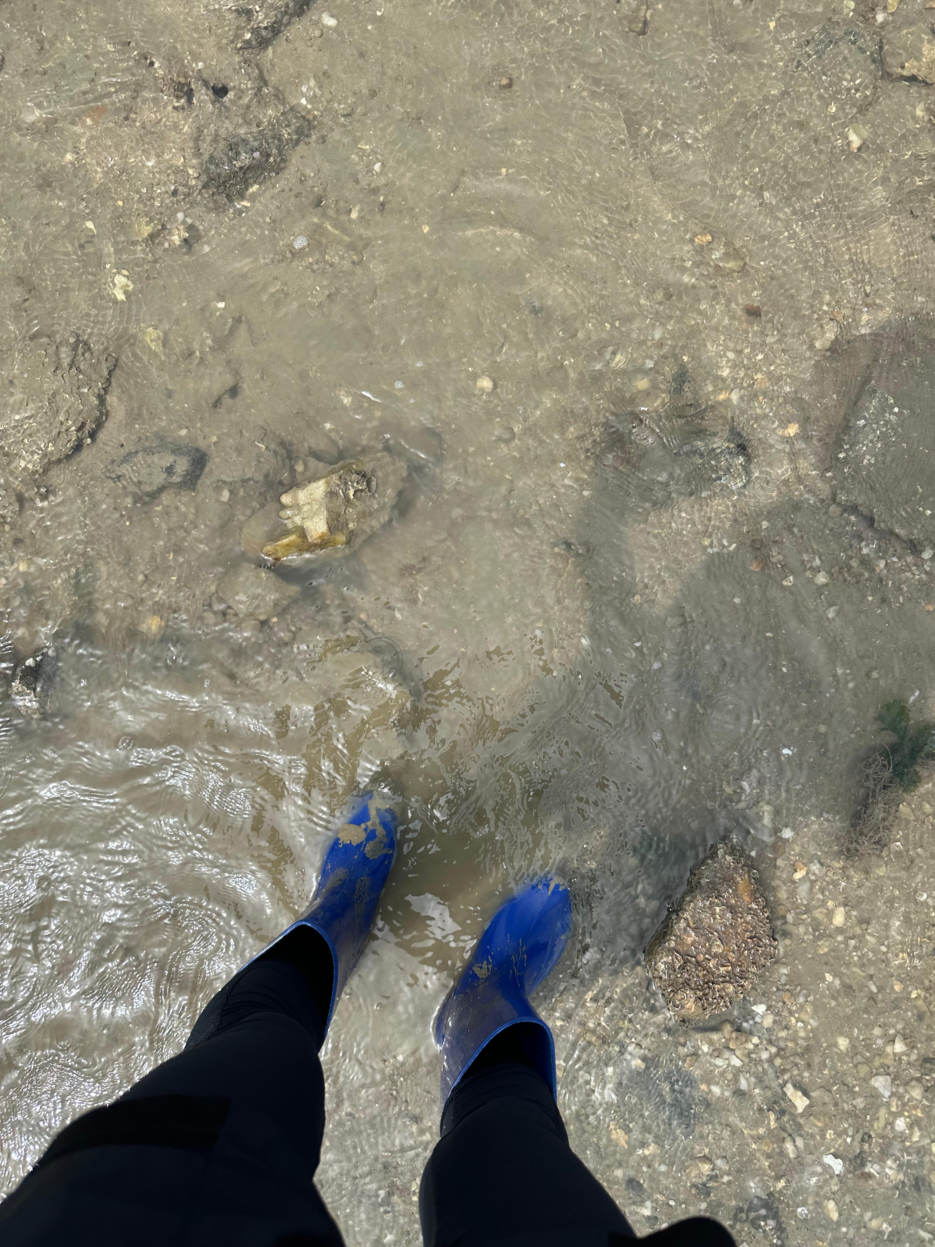 Travel Review 2: Boryeong, Daecheon, and Muchangpo in Chungnam, Korea (Family Travel Destination Recommendation, Muchangpo Beache Palace, Mudflat Experience, Sky Bike Price &amp; Duration, Daecheon Restaurants &amp; Lunch Spots, Daecheon Beach, Stunning Sunset, Closed Sanghwawon, Daecheon Port Fish Market, Useong Fisheries, Suyeonho Fisheries, Muchangpo Beache Palace, Ocean View, Lodging with Kitchen Facilities, Muchangpo Pension)