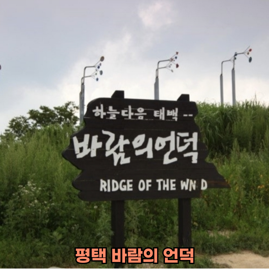 당일치기 경기도 봄 여행