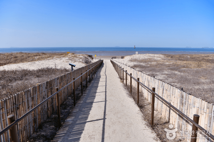 기지포해수욕장 (태안군)