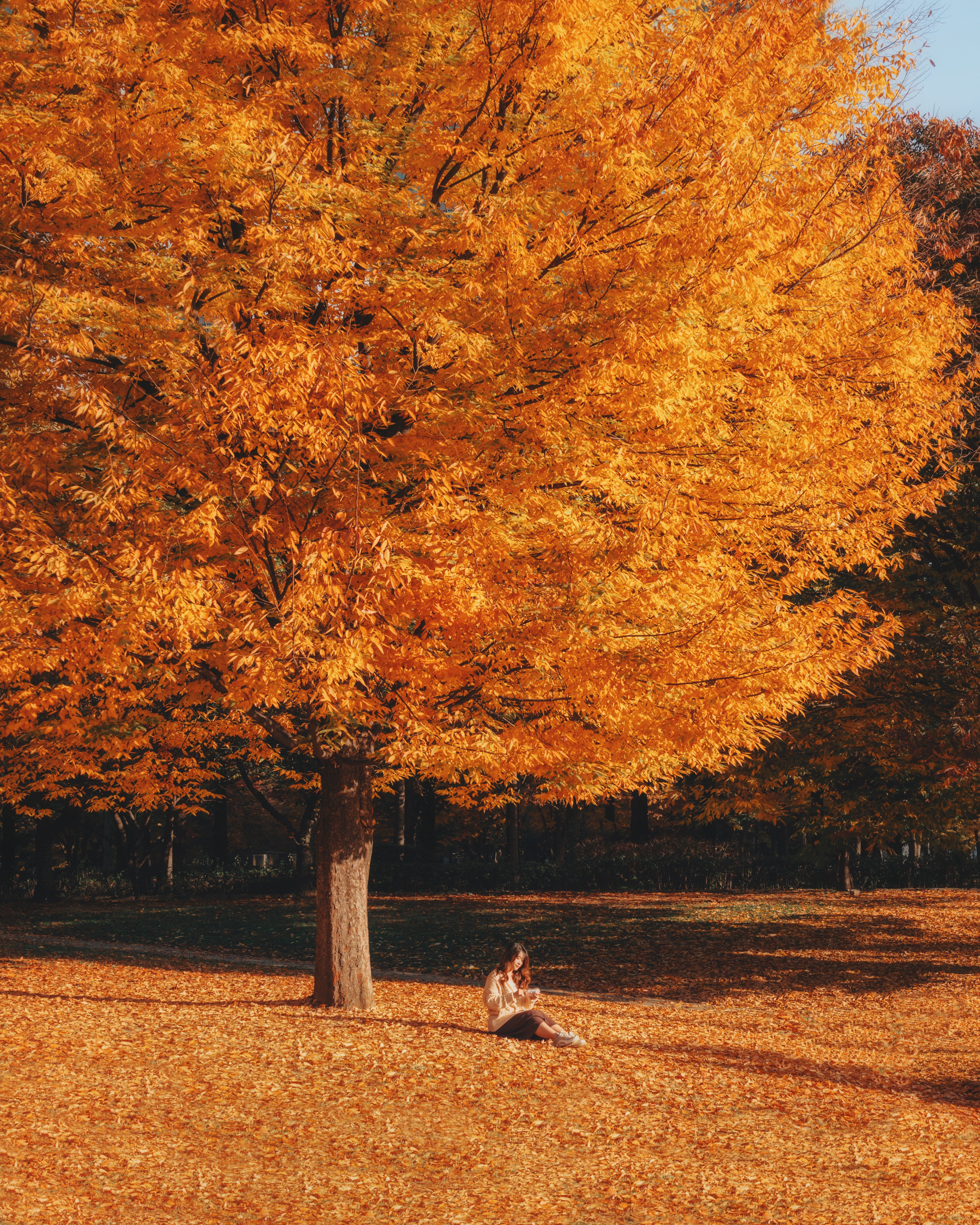 서울숲, Alpha 7 III ㅣSEL24105Gㅣ@clarissaacindy