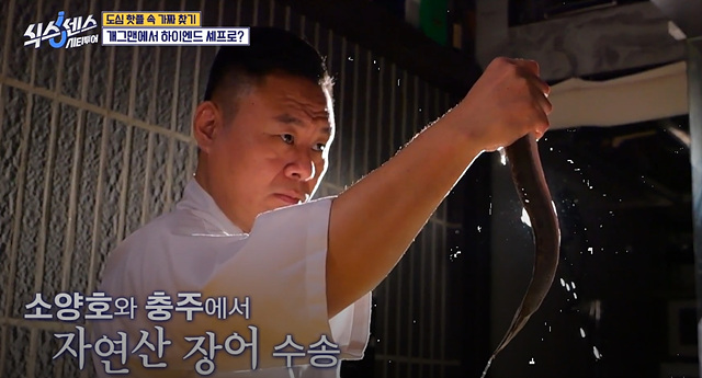 식스센스 시티투어 강남 이동자 오마카세 철권게이머 무당