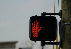 신호위반 실시간 조회