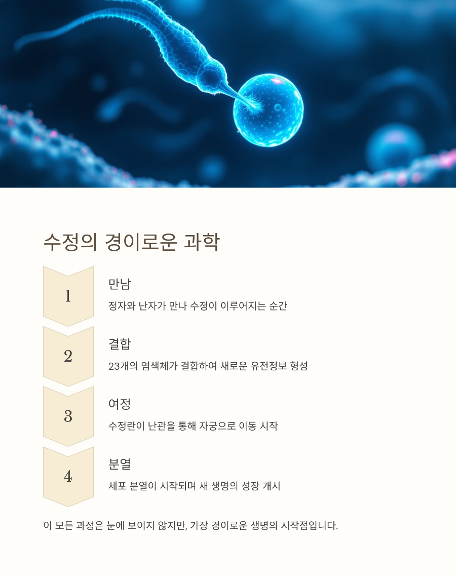 임신 1-4주차 신체 변화 아무도 알려주지 않은 미세한 신호들