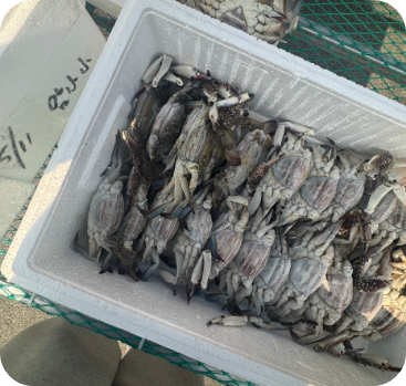 6시 내고향 게장 전북 부안 맛집