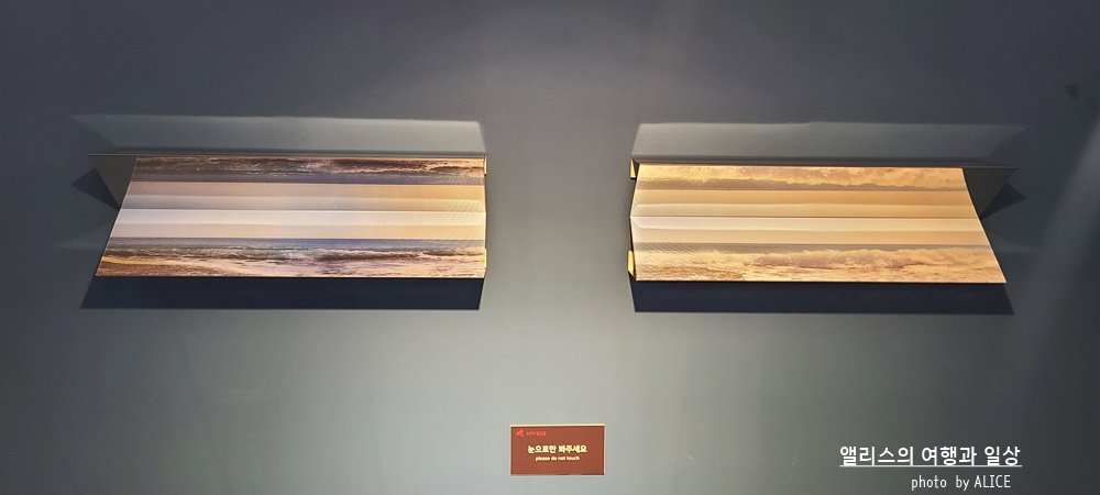 해운대 뮤지엄원 치유의기술, 부산 실내 가볼만한곳, 부산 전시 + 33% 할인예약방법