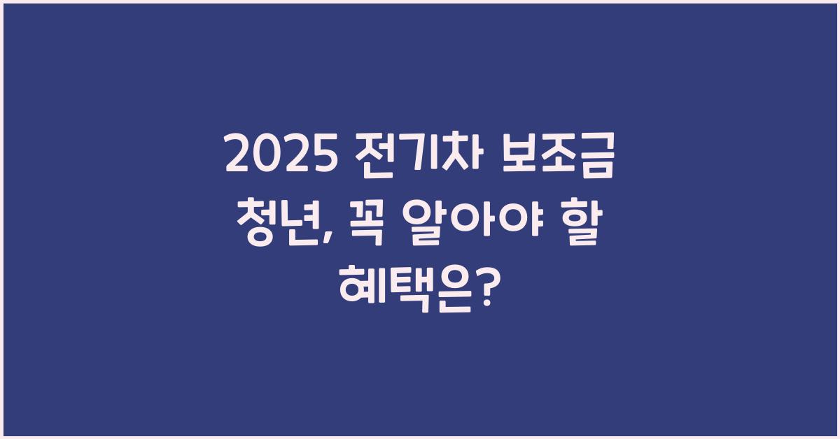 2025 전기차 보조금 청년