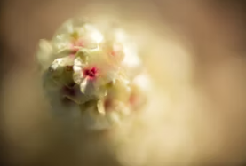 2025년 국민연금 요율 물가상승률