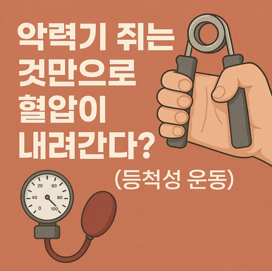 악력기 쥐는 것만으로 혈압이 내려간다? (등척성 운동)