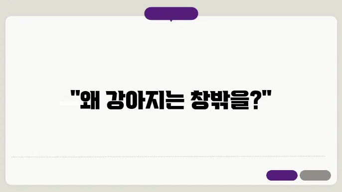 강아지가 자동차 창밖을 내다보는 이유