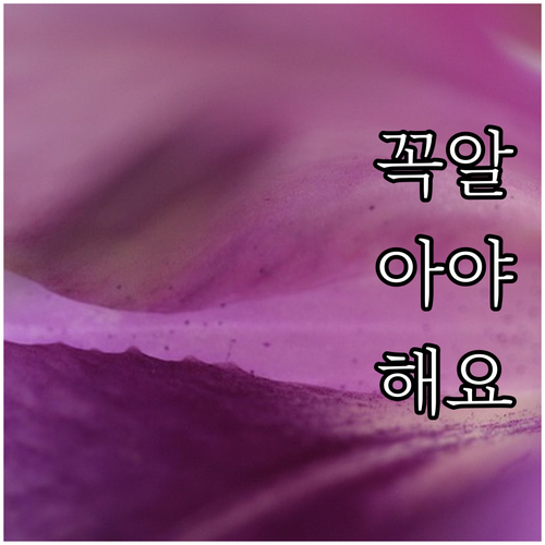 놓치면 후회할 2025 등급외 노인요..