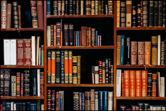 서울시청년이사비