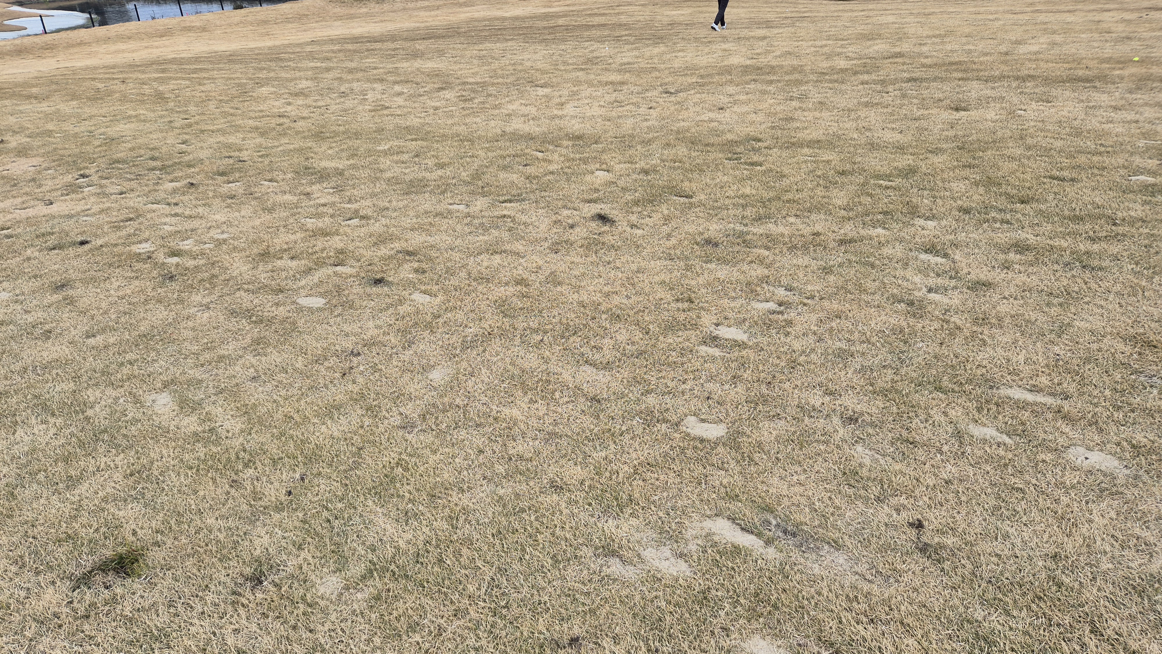 힐데스하임 레이크-힐 코스 코스 관리 상태